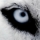 Avatar de Marius    C